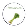 תערובת תה (לימון עם תווי ג’ינג’ר) chabacco lemongrass