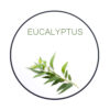 chabacco – eucalyptus – אקליפטוס עם מנטה