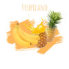 תערובת תה (אננס בננה אפרסק) DALY tropicano