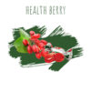 תערובת תה DALY CODE – Health Berry- 50g סוכריות ברבריס