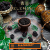 ELEMENT – EARTH – Blackberry פטל שחור