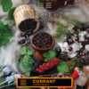 ELEMENT – EARTH – Currant דומדמניות אדומות ושחורות