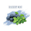 DALY CODE – Bluberry Mint – 250g אוכמניות אייס