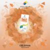 SPECTRUM – Classic Line – Oblepiha – אובליפיחה