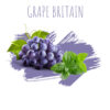 תערובת תה DALY CODE – Grape Britain – 50g ענבים אייס
