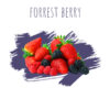 DALY CODE – Forest berry – 250g מיקס פירות יער