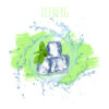 תערובת תה DALY CODE – Iceberg – 50g אייס