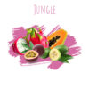 תערובת תה DALY CODE – Jungle – 50g פיתאיה, פפאיה, פיגואה ופסיפלורה