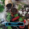 ELEMENT – WATER – CURRANT – דומדמניות שחורות