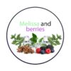 chabacco – Melissa and berries – מליסה לימון, אניס, פירות יער וקרח