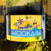 Hookain – Vantanaz – גזוז אננס אשכולית מנגו ואפרסק