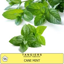 Tangiers Cane mint