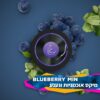תערובת תה לנרגילה 250 גרם CHAIKOVSKY BLUEBERRY MINT – אוכמניות אייס