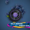 תערובת תה לנרגילה 50 גרם CHAIKOVSKY WILD BERRIES – מיקס אוכמניות